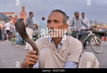 Snake Charmer am Djemaa el Fna Platz, historischen Zentrum, Marrakesch, Marrakech-Tensift-El Haouz Marktregion, Marokko Stockfoto