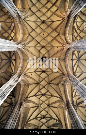 Gewölbte Decke der spätgotische dreischiffige Halle Kirche, St.-Georgs Münster, 1499, Dinkelsbühl, Middle Franconia, Bayern Stockfoto