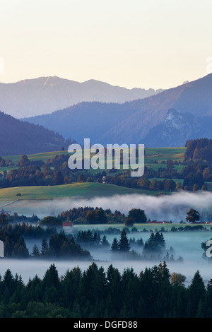 Landschaft in das Alpenvorland, morgen-Stimmung mit Nebel, Schönberg, Rottenbuch, Region Pfaffenwinkel, Bayern, Oberbayern Stockfoto