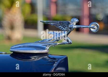 Packard Super 8 Emblem 1933 Stockfoto