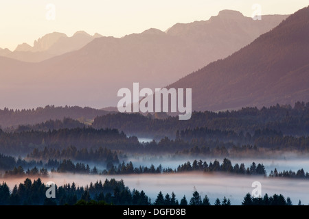 Landschaft in das Alpenvorland, morgen-Stimmung mit Nebel, Schönberg, Rottenbuch, Region Pfaffenwinkel, Bayern, Oberbayern Stockfoto