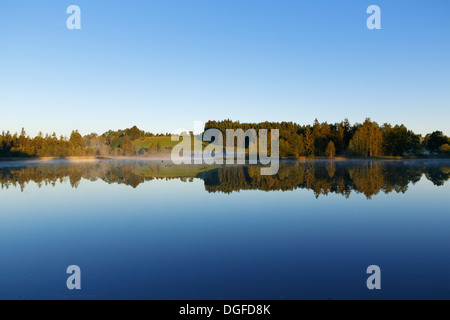 Am frühen Morgen Stimmung am Schwaigsee, Wildsteig, Pfaffenwinkel Seenregion, Upper Bavaria, Bavaria, Germany Stockfoto