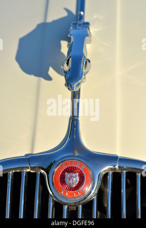 1957 Jaguar XK 150 Drophead Coupé Stockfoto