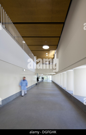 Francisco de Arruda School, Lissabon, Portugal. Architekt: José Neves, 2013. Stockfoto