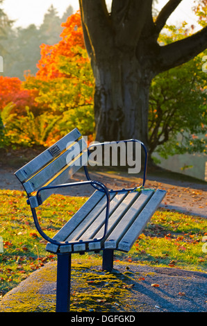 Parkbank sonnenbeschienenen mit bunten Blätter im Herbst und die Bäume. Sonnenuntergang auf Burnaby Mountain im Oktober. Stockfoto