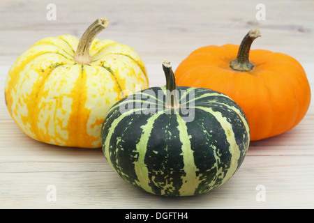 Drei kleine bunte Kürbisse auf Holzoberfläche, Nahaufnahme Stockfoto