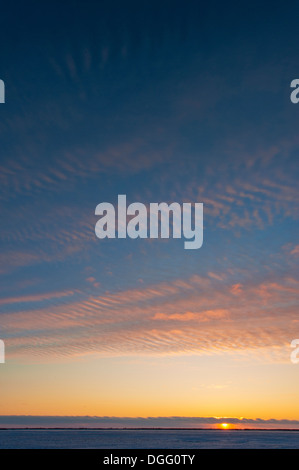 Kanadischen Prärien Pastell Sonnenuntergang Himmel über schneebedecktes Feld im Winter. Stockfoto