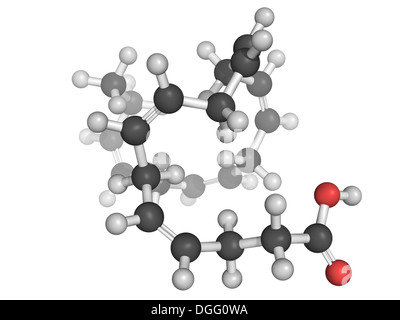 Docosahexaensäure Säure (DHA, Omega-3-Fettsäure) Molekül, chemische Struktur. Stockfoto