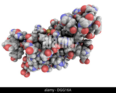 Chemische Struktur der menschlichen Prion-Protein-Molekül (hPrP). hPrP ist verbunden mit transmissiblen spongiformen Enzephalopathien, Stockfoto