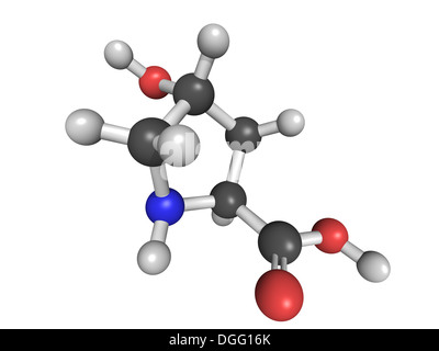 Chemische Struktur von Hydroxyprolin (Hyp), Kollagen Baustein Stockfoto