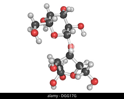 Chemische Struktur von Lactulose, ein synthetisches, unverdaulichen Zucker verwendet in der Behandlung von chronischer Verstopfung (Abführmittel) Stockfoto