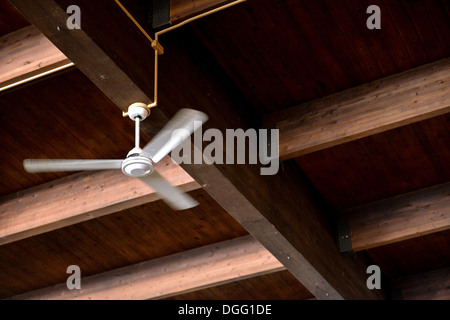 Holzdecke mit einem rotierenden Deckenventilator Stockfoto