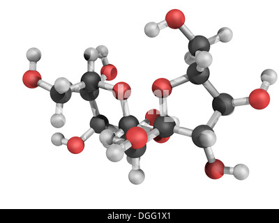 Chemische Struktur von Saccharose, auch bekannt als Haushaltszucker und saccharose Stockfoto