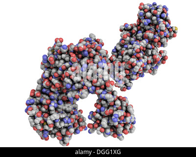 Taq Polymerase PCR Enzym: ein hitzebeständig DNA-Polymerase-Protein, das ist die zentrale Komponente des Polymerase-Kettenreaktion Stockfoto