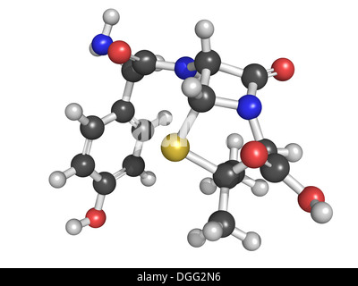 Amoxicillin Beta-Lactam-Antibiotika Medikament, chemische Struktur. Atome werden als Kugeln mit konventionellen Farbkodierung dargestellt. Stockfoto