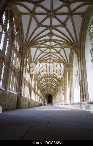 Niedrig, Weitwinkelaufnahme des Klosters in der Wells Cathedral in Wells, Somerset, UK. Stockfoto