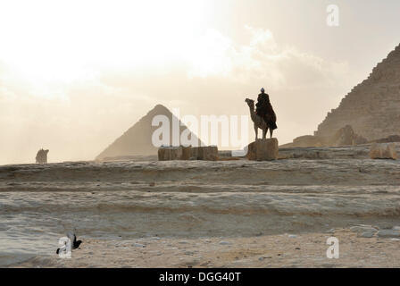 Beduinen auf Dromedar vor der Pyramisd des Mykerinos und des Chephren, die Pyramiden von Gizeh, Kairo, Ägypten, Afrika Stockfoto