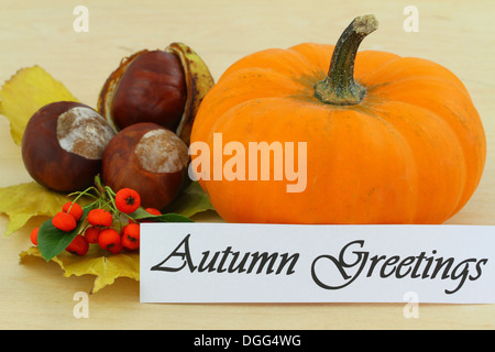 Herbst-Grußkarte mit Kürbis, Kastanien, Vogelbeeren und Herbstlaub Stockfoto