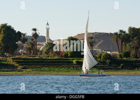 Feluke, einem traditionellen hölzernen Segelboot auf dem Nil, Assuan, Nil Senke, Ägypten, Afrika Stockfoto