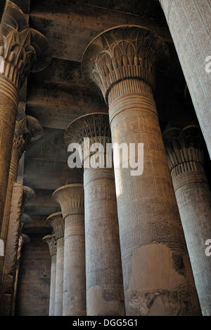 Pfeiler in dem Tempel des Chnum in Esna, Niltal, Ägypten, Afrika Stockfoto