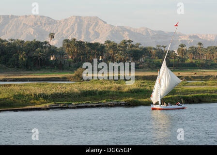 Feluke, einem traditionellen hölzernen Segelboot auf dem Nil, Luxor, Nil Senke, Ägypten, Afrika Stockfoto