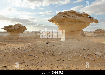 Pilzförmige Kalksteinformationen, Weiße Wüste, Farafra Oase, westliche Wüste, Ägypten, Afrika Stockfoto