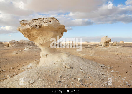 Pilzförmige Kalksteinformationen, Weiße Wüste, Farafra Oase, westliche Wüste, Ägypten, Afrika Stockfoto