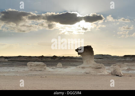 Pilzförmige Kalkstein Felsformation, Weiße Wüste, Farafra Oase, westliche Wüste, Ägypten, Afrika Stockfoto