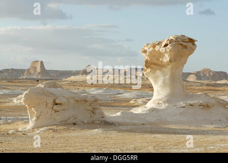 Pilzförmige Kalksteinformationen, Weiße Wüste, Farafra Oase, westliche Wüste, Ägypten, Afrika Stockfoto