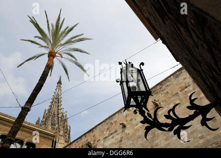 Gotische Laterne im Rathaushof, Casa de L'Ardiaca gotische Viertel Barri Gotic, Barcelona, Katalonien, Spanien, Europa Stockfoto