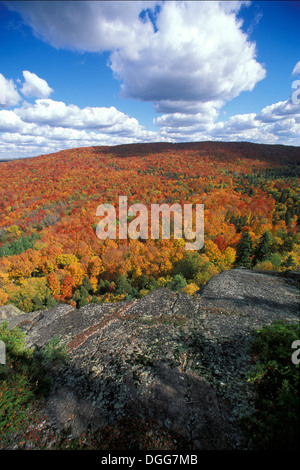 Farben des Herbstes auf zitternden Beben Aspen Pappeln (Populus Tremuloides) und rot-Ahornbäume mit gelb und orange Farbe und Luž Wolken über Berglandschaft am Lutsen in der Nähe von Duluth, Minnesota USA Stockfoto