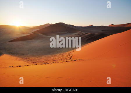 Sonnenaufgang von Düne 45 auf eine Wüstenlandschaft mit Dünen, Tsauchab-Tal, Sossusvlei, Namib-Naukluft-Park, Namib-Wüste, Namibia Stockfoto