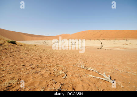 Tote Bäume in einem ausgetrockneten Ton schwenken vor roten Dünen, Deadvlei, Sossusvlei, Namib-Wüste Namib Naukluft Park, Namibia Stockfoto
