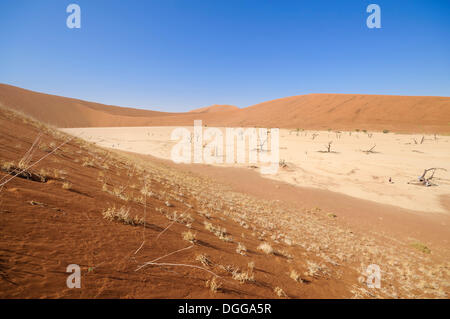 Tote Bäume auf einem ausgetrockneten Lehmpfanne, umgeben von roten Dünen, Deadvlei, Sossusvlei, Namib-Wüste Namib Naukluft Park, Namibia Stockfoto