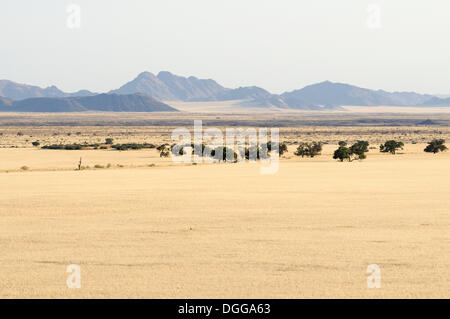 Blick vom Elim Düne, Namib-Naukluft-Park, Namib-Wüste, Namibia Stockfoto