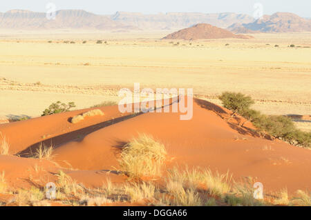 Ansicht von Elim Düne in Richtung Naukluft Bergen, Namib-Naukluft-Park, Namib-Wüste, Namibia Stockfoto