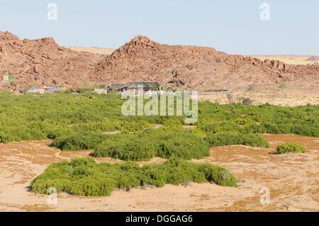 Der Brandberg White Lady Lodge über das trockene Flussbett des Ugab River, gesehen von einem Hügel, Damaraland, Namibia, Afrika Stockfoto