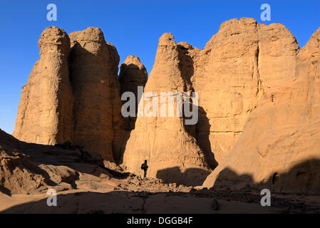 Steinige Wüstenlandschaft im Tassili du Hoggar, Wilaya Tamanrasset, Algerien, Sahara, El Ghessour, Nordafrika Stockfoto