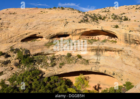 Historischen indianischen Klippenwohnungen, Butler Wash Ruinen, Utah, USA, Nordamerika Stockfoto