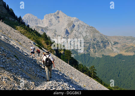 Gruppe von Wanderern auf einem Pfad in Richtung Kom Ljevorijecki, 2464 m, Komovi Gebirge, Montenegro, Crna Gora, dem Balkan, Europa Stockfoto