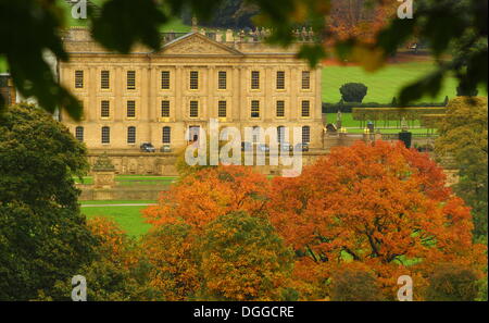 Derbyshire, UK.  21. Oktober 2013.   Nasses Wetter hebt das herbstliche Farbenspiel, die die Parklandschaft rund um Chatsworth House im Herzen der Peak District National Park zu vergolden. Bildnachweis: Matthew Taylor/Alamy Live-Nachrichten Stockfoto