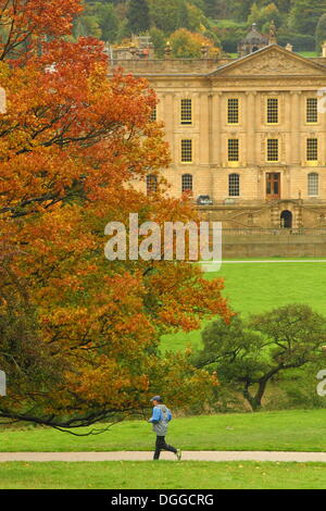 Derbyshire, UK.  21. Oktober 2013.  Ein Jogger trotzt Regen, wie es über das Chatsworth Anwesen herbstliche Parklandschaft im Peak District National Park fegt. Bildnachweis: Matthew Taylor/Alamy Live-Nachrichten Stockfoto