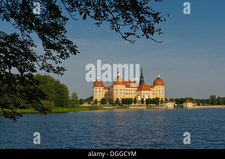 "Schloss Moritzburg", einer ehemaligen Burg, Jagd, feiern liegt 10 km außerhalb der Stadt Dresden in der Mitte des schönen Stockfoto