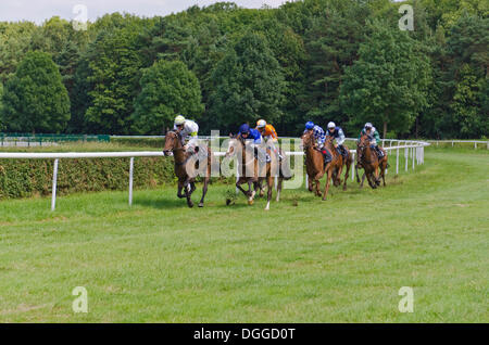 Rennpferde mit jockeys während eines Rennens auf der Rennstrecke, Dresden, Sachsen Stockfoto