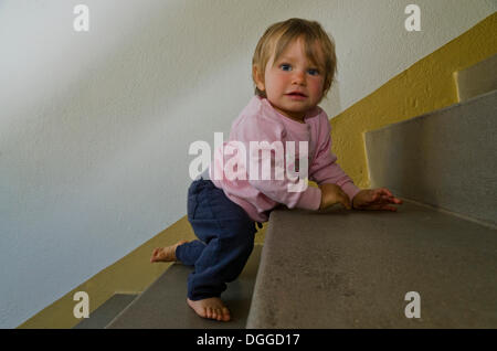 Mädchen, ein Jahr, kroch eine Treppe, Dresden, Sachsen Stockfoto