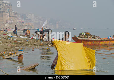 Dhobi Walas arbeiten Leute, die die Wäsche Kaste, ihre tägliche an den Ghats von Varanasi entlang dem heiligen Fluss Ganges, Indien Stockfoto