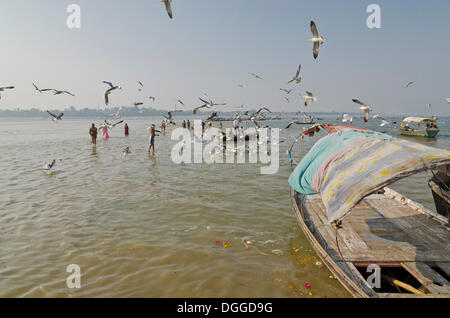 Pilger, stehend im Wasser Sangam, die heiligen Flüsse Ganges, Yamuna und Saraswati, Allahabad, Indien, Asien Stockfoto