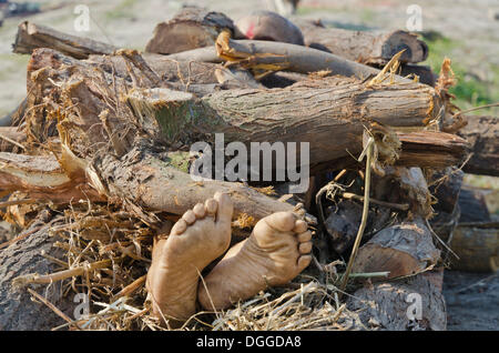 Setzen einen toten Körper auf Brennholz an den Ufern des Flusses Yamuna im Rahmen einer Zeremonie Einäscherung Vrindavan, Indien, Asien Stockfoto