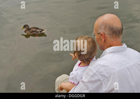 Kleines Mädchen sitzt auf dem Schoß eines Mannes, der gerade eine Ente, Dresden, Sachsen Stockfoto