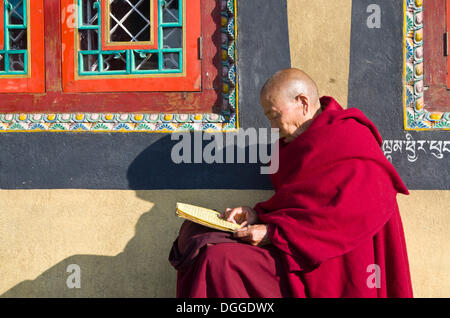 Tibetischer Mönch Lesen der Heiligen Schrift am Fuße des Boudnath Stupa, Kathmandu-Tal, Kathmandu, Kathmandu Bezirk Stockfoto